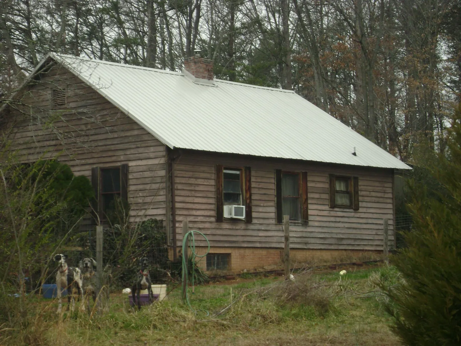 White metal roof on an old wood sided farmhouse, from a Asphalt Shingle Roof Repair job in Snow Shoe